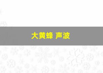 大黄蜂 声波